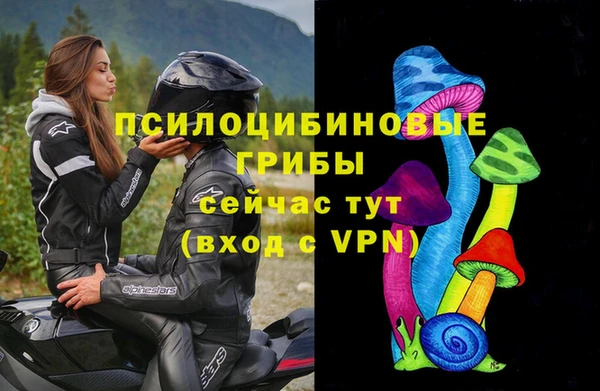 альфа пвп Нея