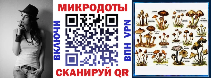 Псилоцибиновые грибы прущие грибы  Купить  Миасс 